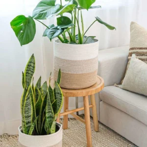 Striped Jute Planter Baskets (Set of 2)